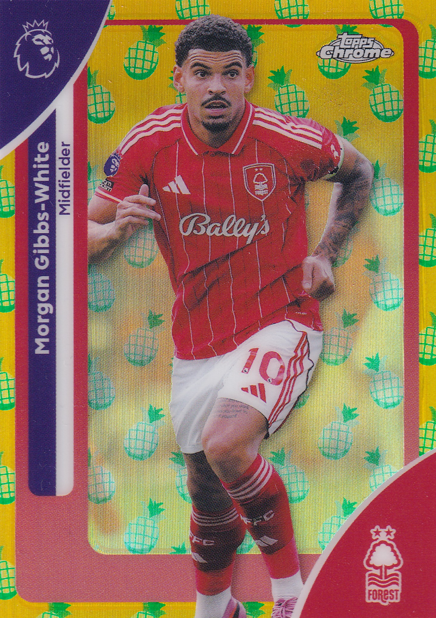Morgan Gibbs White SP