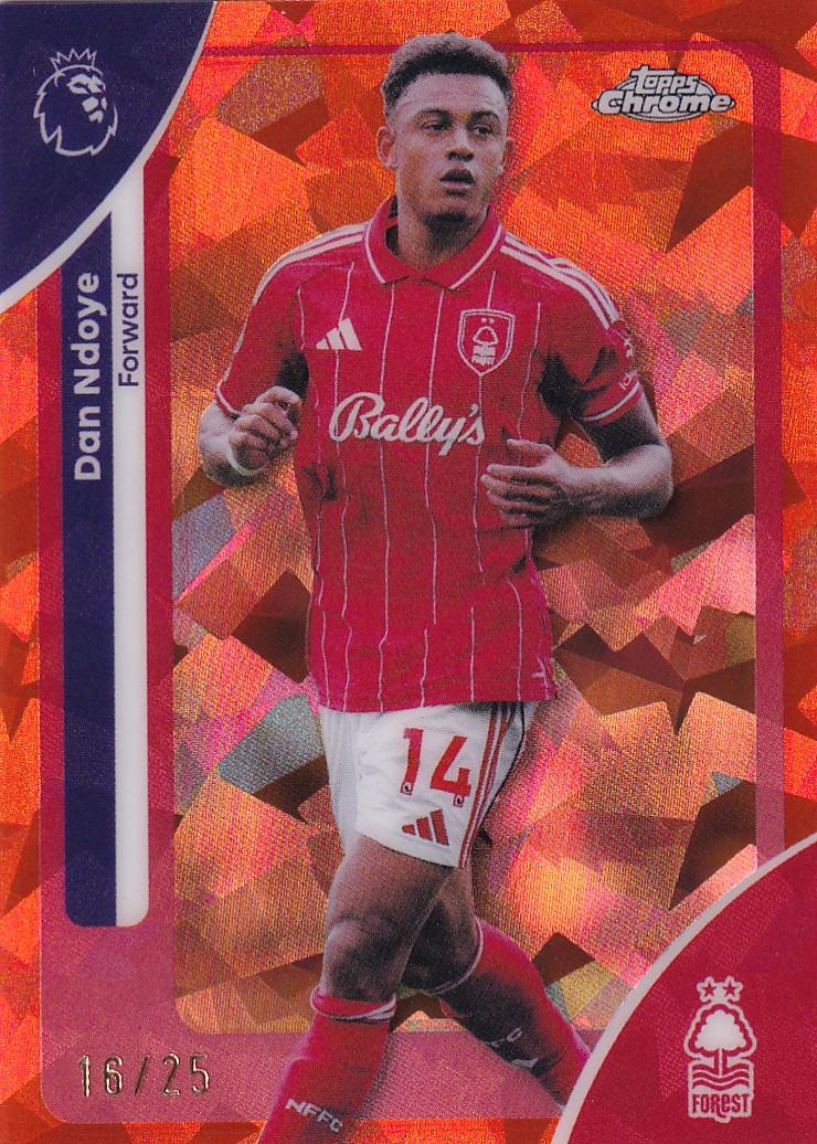 Dan Ndoye /25